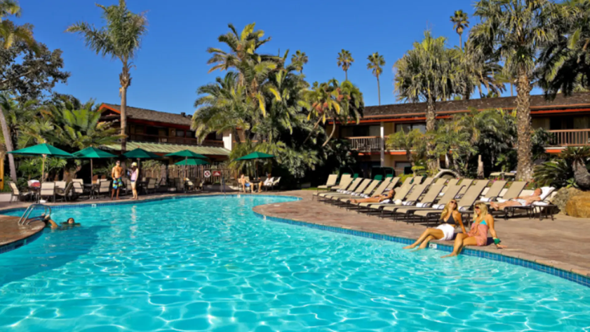 2020-02-18 15_26_58-catamaran resort and spa - Google Search.png